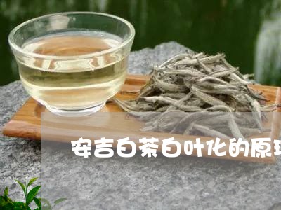 安吉白茶白叶化的原理/2023092975837