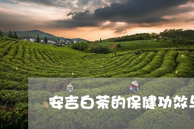 安吉白茶的保健功效与作用禁忌症/2023111495681