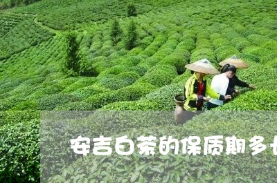 安吉白茶的保质期多长/2023092922805