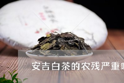 安吉白茶的农残严重吗/2023092960603