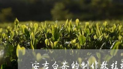 安吉白茶的制作教程视频/2023101726240