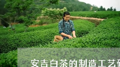 安吉白茶的制造工艺研究/2023101793716