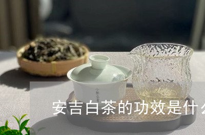 安吉白茶的功效是什么/2023092974048