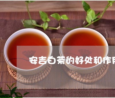 安吉白茶的好处和作用/2023092931936