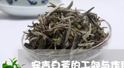 安吉白茶的工郊与作用/2023093087379