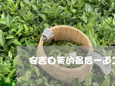 安吉白茶的最后一道工序/2023102495059