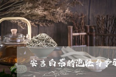 安吉白茶的泡法与步骤/2023093092603