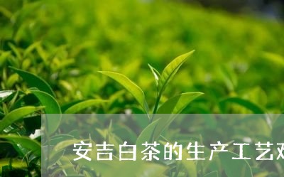 安吉白茶的生产工艺难点/2023102471604