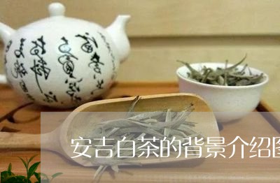 安吉白茶的背景介绍图/2023093071703