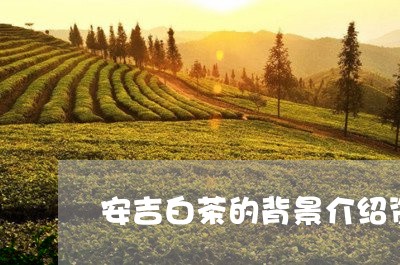 安吉白茶的背景介绍资料/2023102426270