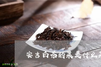 安吉白茶的菜是什么菜/2023093065946