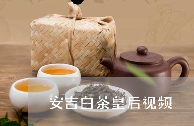 安吉白茶皇后视频/2023061861583