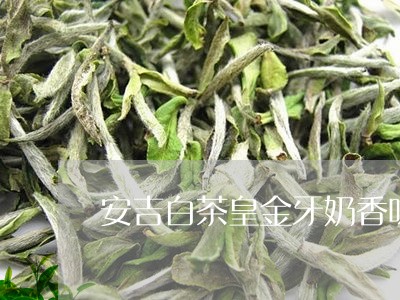 安吉白茶皇金牙奶香味/2023092927382