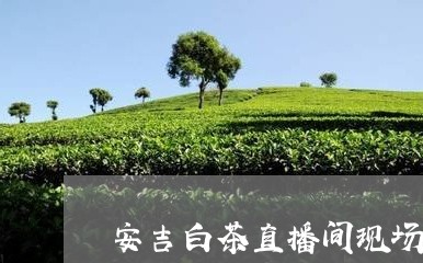 安吉白茶直播间现场直播/2023102413614