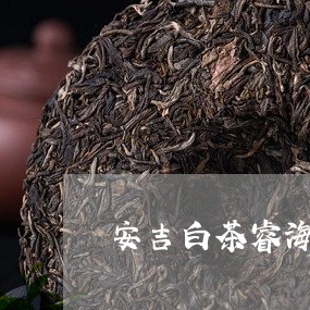 安吉白茶睿海茶场/2023061896148