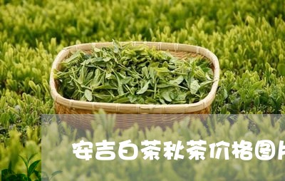 安吉白茶秋茶价格图片/2023092971725