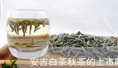 安吉白茶秋茶的上市时间/2023102428462