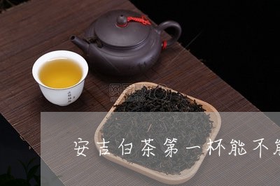 安吉白茶第一杯能不能喝/2023102415957