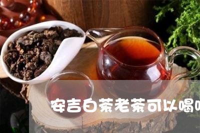 安吉白茶老茶可以喝吗/2023093097162