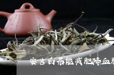 安吉白茶能减肥降血脂吗/2023101794061