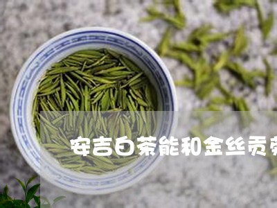 安吉白茶能和金丝贡菊/2023093085138