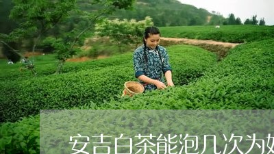 安吉白茶能泡几次为好/2023093013049