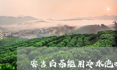 安吉白茶能用冷水泡吗/2023093000605