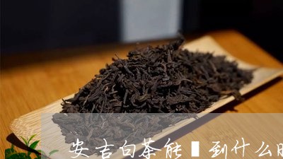 安吉白茶能釆到什么时候/2023101760502