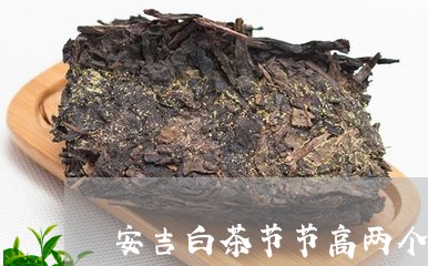 安吉白茶节节高两个空盒/2023101738415