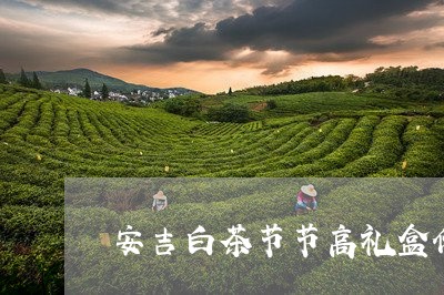 安吉白茶节节高礼盒价格/2023101788583