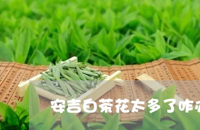 安吉白茶花太多了咋办/2023093001714