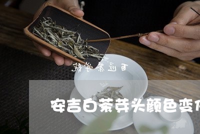 安吉白茶芽头颜色变化/2023093067358