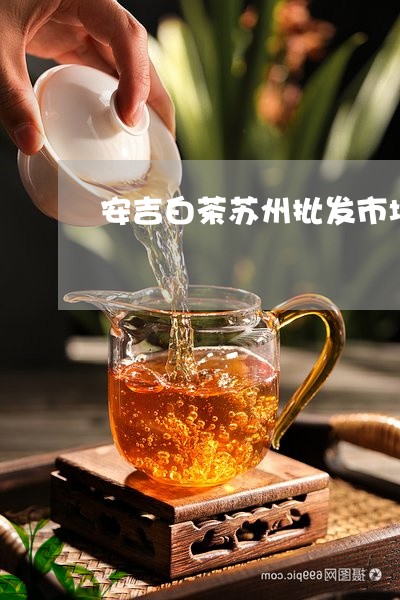 安吉白茶苏州批发市场/2023093002825