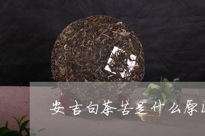 安吉白茶苦是什么原因/2023093018593