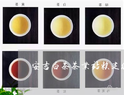 安吉白茶茶业站赖建红/2023093005048