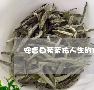 安吉白茶茶佑人生的价格/2023101738381