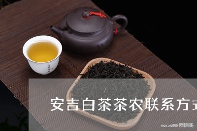 安吉白茶茶农联系方式/2023093071481