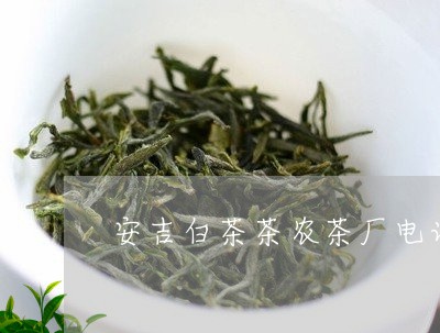 安吉白茶茶农茶厂电话/2023093061835