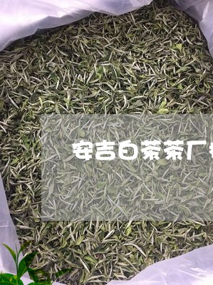 安吉白茶茶厂标牌是什么/2023101749282