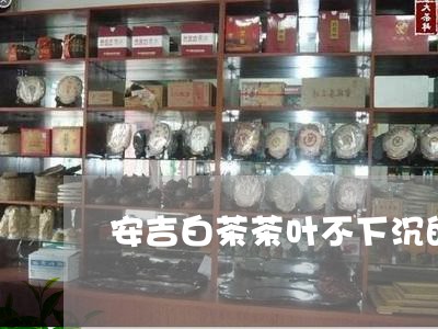 安吉白茶茶叶不下沉的慢/2023101704161