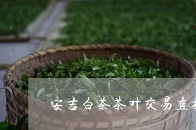 安吉白茶茶叶交易直播/2023093071635