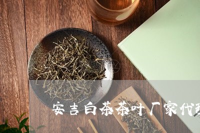 安吉白茶茶叶厂家代理/2023093071549