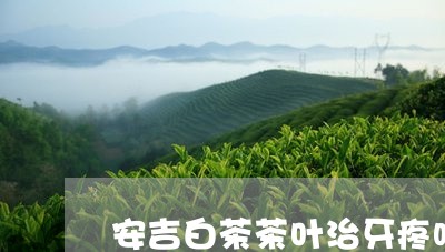 安吉白茶茶叶治牙疼吗/2023093060705