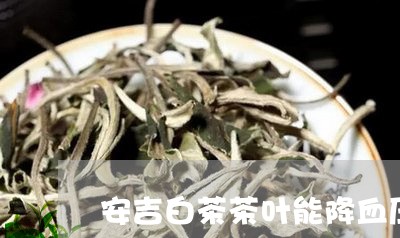 安吉白茶茶叶能降血压吗/2023101756158