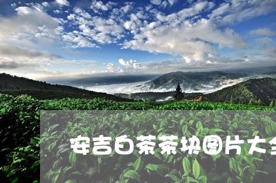 安吉白茶茶块图片大全/2023093082715