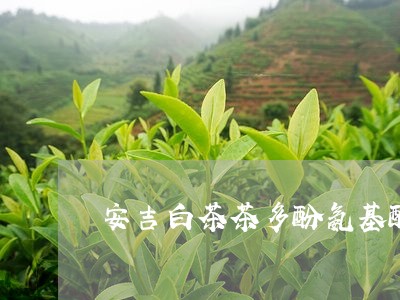 安吉白茶茶多酚氨基酸/2023093050370