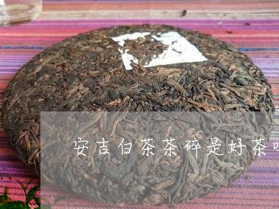 安吉白茶茶碎是好茶吗/2023093027382