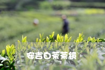 安吉白茶茶镜/2023051481737