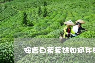 安吉白茶茶饼如何存放好/2023101726148