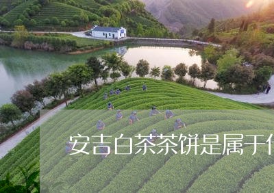 安吉白茶茶饼是属于什么茶类的/2023111452816